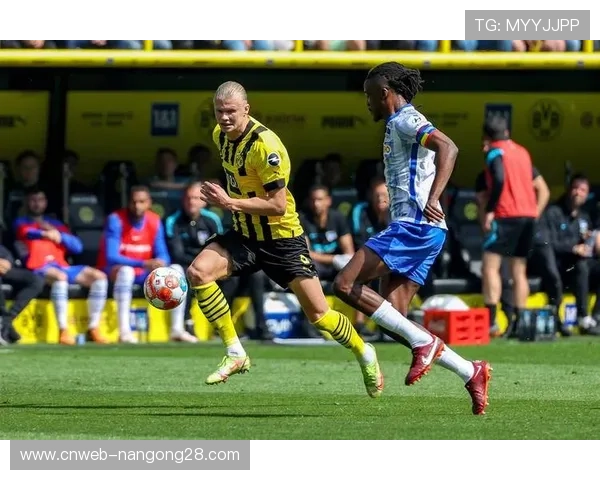 柏林赫塔熊荣膺德甲吉祥物互动冠军再度称霸 柏林赫塔熊荣膺德甲吉祥物互动冠军再度称霸